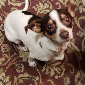 Meet your Posher, Christy